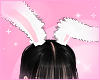 ♡ Bunny Ears ♡