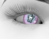 Bear Eyes