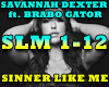 S.DEXTER-SINNER LIKE ME