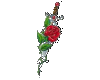 Rose Sword
