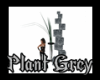 Plant Grey Deco