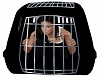 Pet Box / Carrier