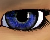 eyez~cobalt blue