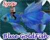! Blue Goldfish Riding