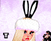 Lolla Bunny Fit RLL
