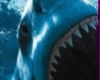 Animated Shark sticker