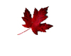 *D* Canada Day Balloons