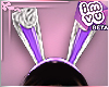~Gw~ Purple Bunny Ears