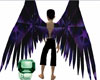 purple and bkl wings m