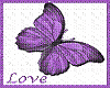 purple love butterfly~LC