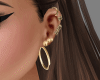 sw Gold Hoop Earrings