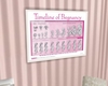 Poster | Preg Timeline