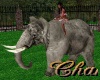 Cha`Zoo Ani Elephant