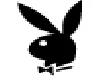 Little blk pb bunny icon