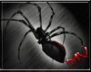 (MV) Black Spider