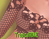 ☼Charme Lace☼
