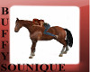 BSU Animated Horse Ride