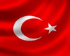 ✘ Türkiye Flag