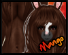 -DM- Dark Chestnut Fur F