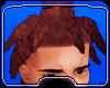 Light brown Locs
