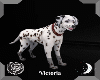 Animated Dalmata Dog