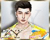 ZY: Holi Festival Fit