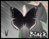 BLACK butterflies M