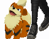 Growlithe  S Ft Rt Om