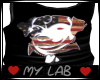RH/♥ My Lab Pup