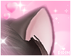 Nekomimi Brownie Ears