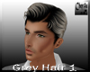 Grey Hair Men 1