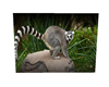 Lemur