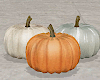 Fall Pumpkins Decor