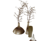Christmas Decor  Lights