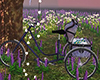 Bike With Cooler Purple