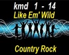 Country Rock Music