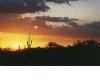 arizona sunset1