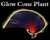 Glow Cone Plant