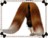 RS~Gemini Fox Tail