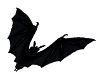 Lamia Flying Bats