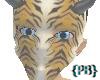 {PB}Tiger Action Mask
