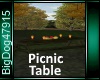 [BD]PicnicTable