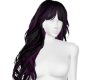 Black and Purple Bangs
