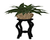 Plant Stand