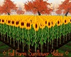 Fall Farm Sunflow Yellow