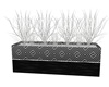 new year plant silver