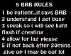BRB RULES FLASH SIGN