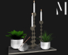 Plants & Candles