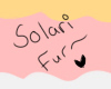 |M| Solari Furkini