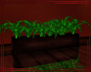 ~CA~ Ref Planter Box